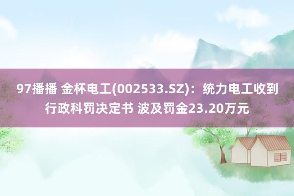 97播播 金杯电工(002533.SZ)：统力电工收到行政科罚决定书 波及罚金23.20万元