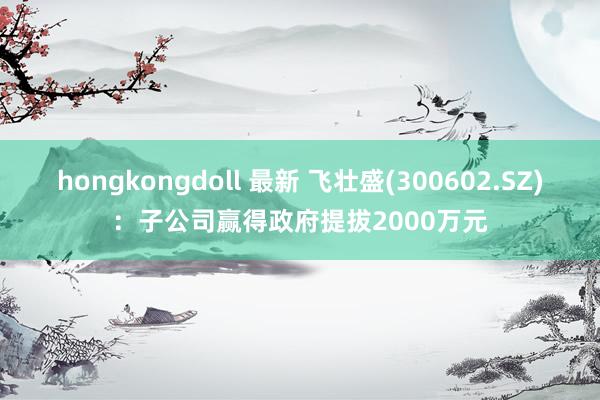 hongkongdoll 最新 飞壮盛(300602.SZ)：子公司赢得政府提拔2000万元