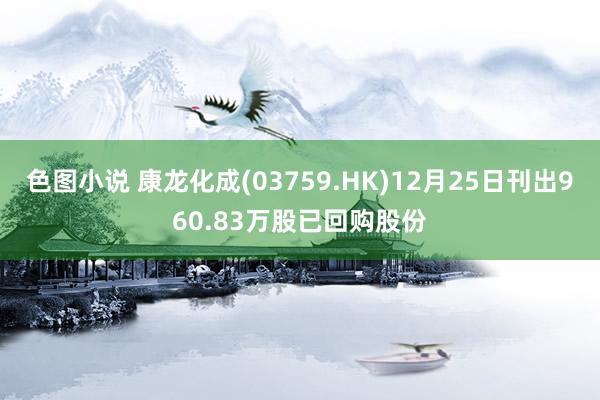 色图小说 康龙化成(03759.HK)12月25日刊出960.83万股已回购股份