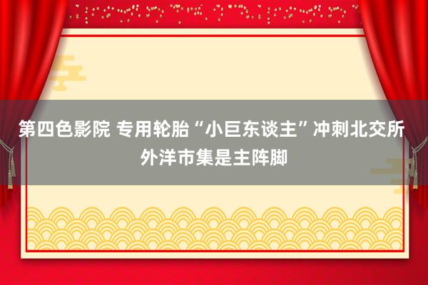 第四色影院 专用轮胎“小巨东谈主”冲刺北交所 外洋市集是主阵脚