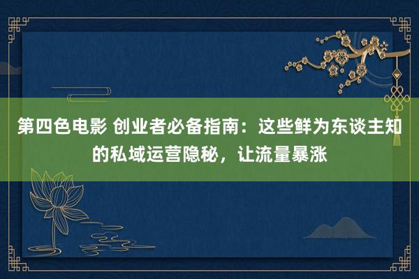 第四色电影 创业者必备指南：这些鲜为东谈主知的私域运营隐秘，让流量暴涨