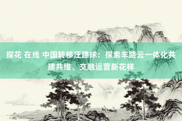 探花 在线 中国转移汪建球：探索车路云一体化共建共维、交融运营新花样