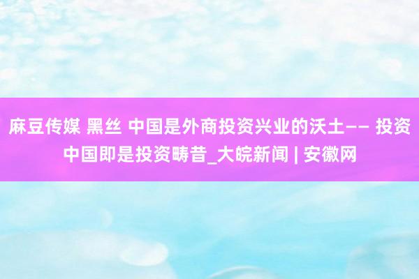 麻豆传媒 黑丝 中国是外商投资兴业的沃土—— 投资中国即是投资畴昔_大皖新闻 | 安徽网