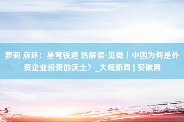 萝莉 崩坏：星穹铁道 热解读·见微｜中国为何是外资企业投资的沃土？_大皖新闻 | 安徽网