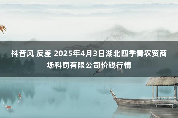 抖音风 反差 2025年4月3日湖北四季青农贸商场科罚有限公司价钱行情