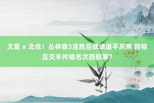 文爱 x 北伐！丛林狼3连胜后战绩追平灰熊 因相互交手舛错名次西部第7