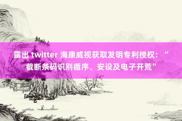 露出 twitter 海康威视获取发明专利授权：“截断条码识别循序、安设及电子开荒”