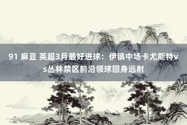 91 麻豆 英超3月最好进球：伊镇中场卡尤斯特vs丛林禁区前沿领球回身远射