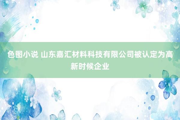 色图小说 山东嘉汇材料科技有限公司被认定为高新时候企业