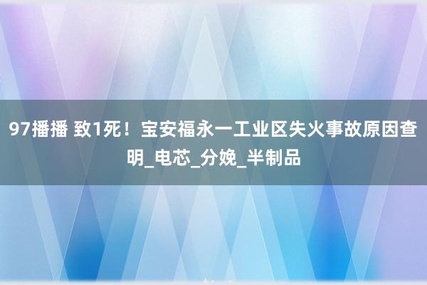 97播播 致1死！宝安福永一工业区失火事故原因查明_电芯_分娩_半制品