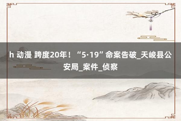 h 动漫 跨度20年！“5·19”命案告破_天峻县公安局_案件_侦察