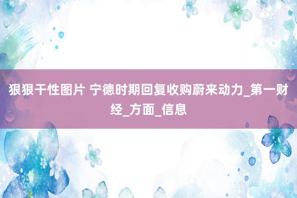 狠狠干性图片 宁德时期回复收购蔚来动力_第一财经_方面_信息
