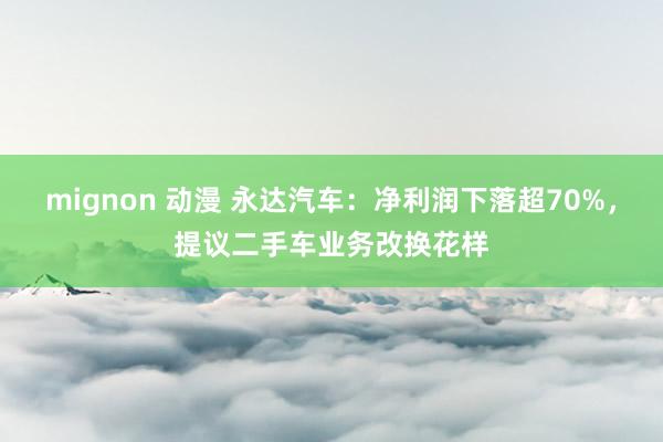 mignon 动漫 永达汽车：净利润下落超70%，提议二手车业务改换花样