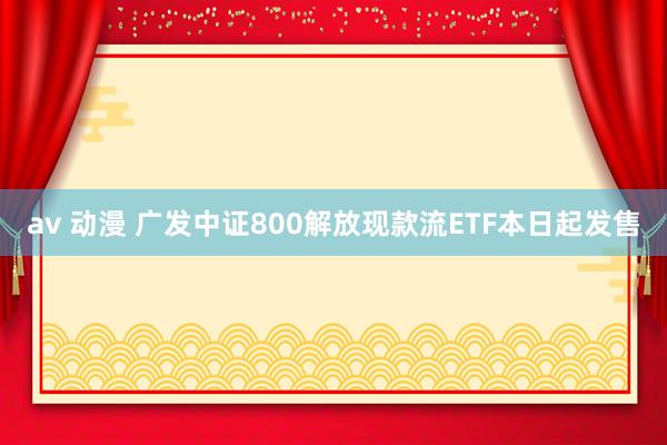 av 动漫 广发中证800解放现款流ETF本日起发售