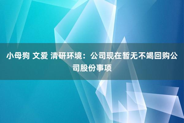 小母狗 文爱 清研环境：公司现在暂无不竭回购公司股份事项