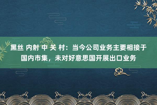 黑丝 内射 中 关 村：当今公司业务主要相接于国内市集，未对好意思国开展出口业务