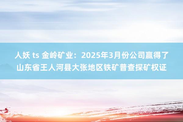 人妖 ts 金岭矿业：2025年3月份公司赢得了山东省王人河县大张地区铁矿普查探矿权证