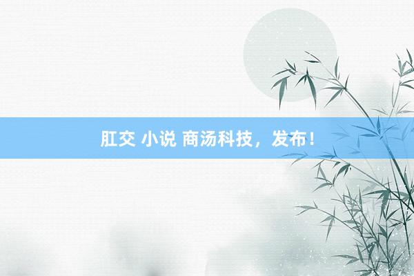 肛交 小说 商汤科技，发布！