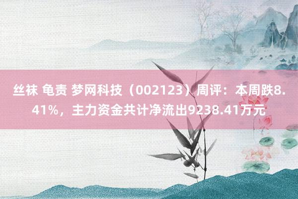 丝袜 龟责 梦网科技（002123）周评：本周跌8.41%，主力资金共计净流出9238.41万元