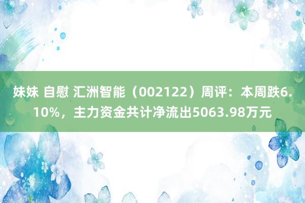 妹妹 自慰 汇洲智能（002122）周评：本周跌6.10%，主力资金共计净流出5063.98万元