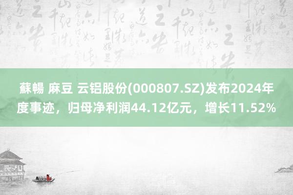 蘇暢 麻豆 云铝股份(000807.SZ)发布2024年度事迹，归母净利润44.12亿元，增长11.52%