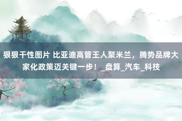 狠狠干性图片 比亚迪高管王人聚米兰，腾势品牌大家化政策迈关键一步！_盘算_汽车_科技