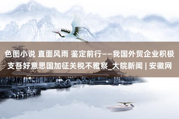 色图小说 直面风雨 鉴定前行——我国外贸企业积极支吾好意思国加征关税不雅察_大皖新闻 | 安徽网
