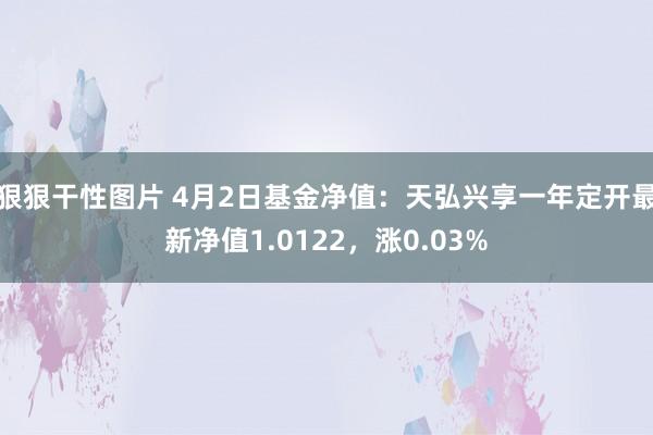 狠狠干性图片 4月2日基金净值：天弘兴享一年定开最新净值1.0122，涨0.03%