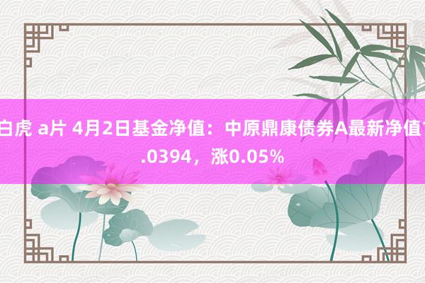 白虎 a片 4月2日基金净值：中原鼎康债券A最新净值1.0394，涨0.05%