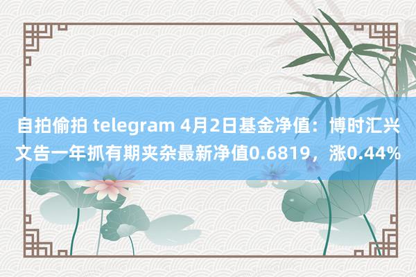 自拍偷拍 telegram 4月2日基金净值：博时汇兴文告一年抓有期夹杂最新净值0.6819，涨0.44%