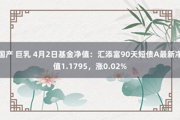 国产 巨乳 4月2日基金净值：汇添富90天短债A最新净值1.1795，涨0.02%