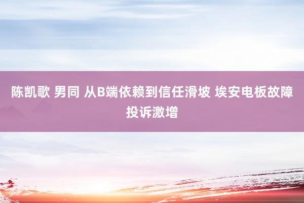 陈凯歌 男同 从B端依赖到信任滑坡 埃安电板故障投诉激增