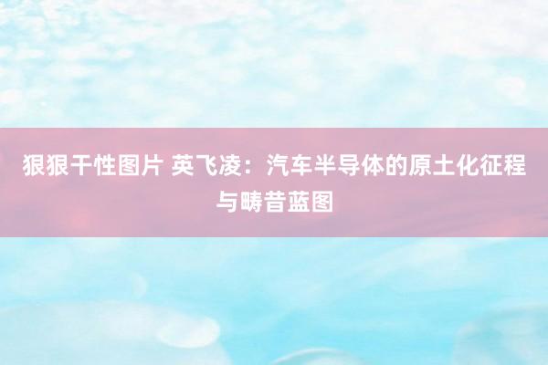 狠狠干性图片 英飞凌：汽车半导体的原土化征程与畴昔蓝图