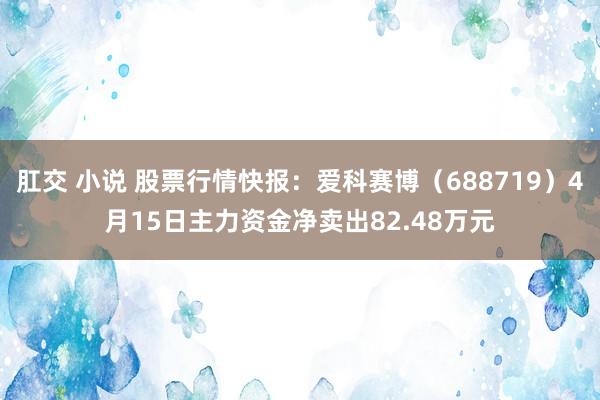 肛交 小说 股票行情快报：爱科赛博（688719）4月15日主力资金净卖出82.48万元