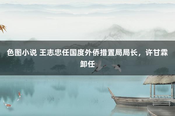 色图小说 王志忠任国度外侨措置局局长,许甘霖卸任