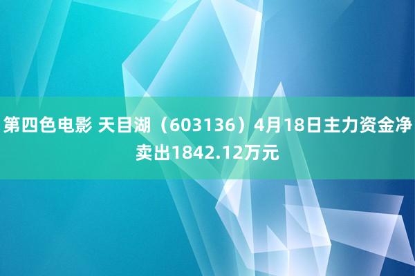 第四色电影 天目湖（603136）4月18日主力资金净卖出1842.12万元