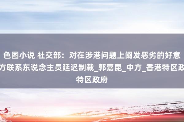 色图小说 社交部：对在涉港问题上阐发恶劣的好意思方联系东说念主员延迟制裁_郭嘉昆_中方_香港特区政府
