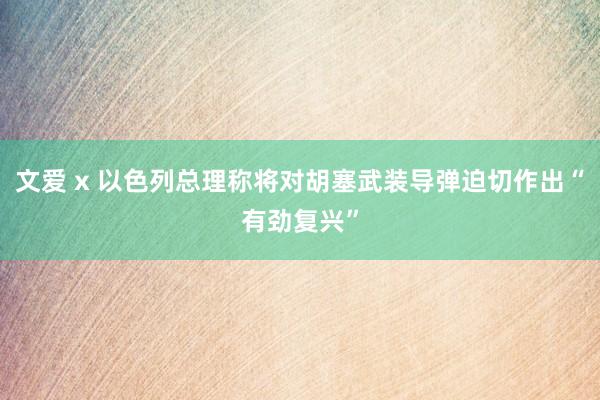 文爱 x 以色列总理称将对胡塞武装导弹迫切作出“有劲复兴”