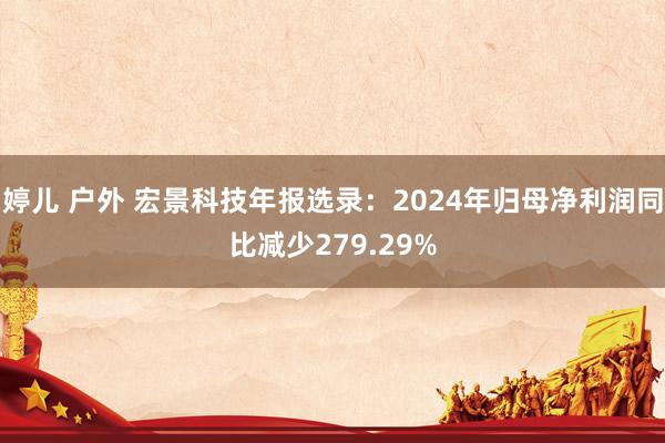 婷儿 户外 宏景科技年报选录：2024年归母净利润同比减少279.29%