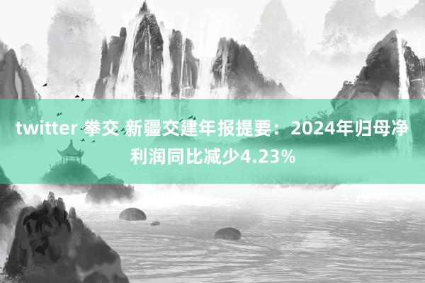 twitter 拳交 新疆交建年报提要：2024年归母净利润同比减少4.23%