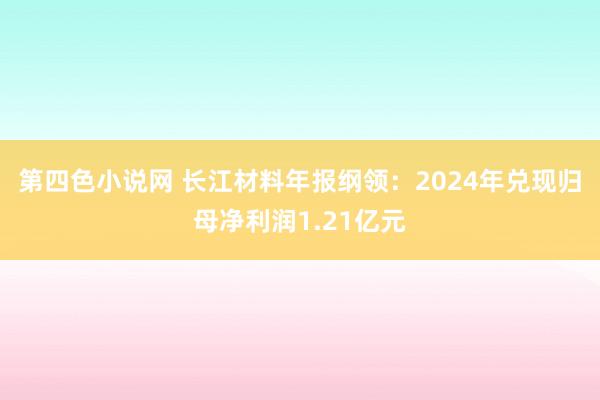 第四色小说网 长江材料年报纲领：2024年兑现归母净利润1.21亿元