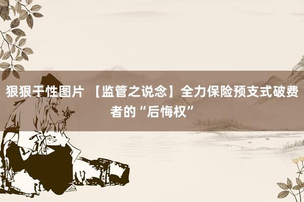 狠狠干性图片 【监管之说念】全力保险预支式破费者的“后悔权”