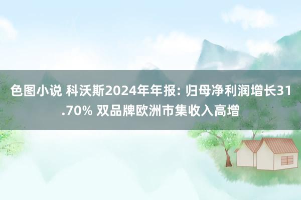 色图小说 科沃斯2024年年报: 归母净利润增长31.70% 双品牌欧洲市集收入高增
